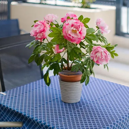 Voiles De Apartamento *